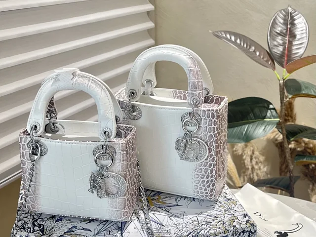 Dior Handbags Top-handle with detachable shoulder straps product detail image 13