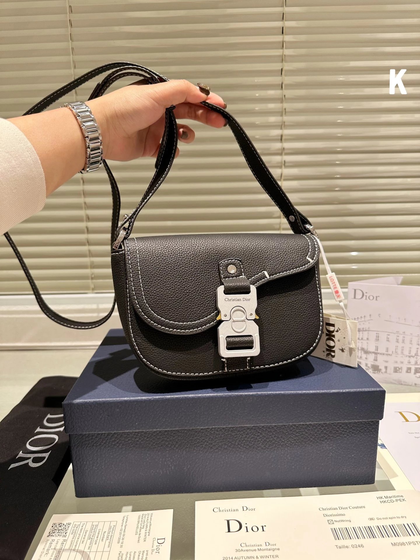 Dior Saddle Bag Oblique Print Multicolor Crossbody Bag - 10