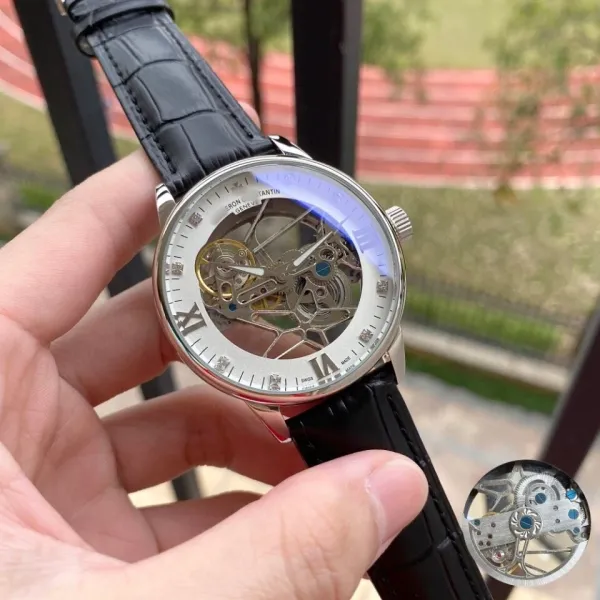 Design Hero Tantin Skeleton Mechanical Watch Silver Watches - 18