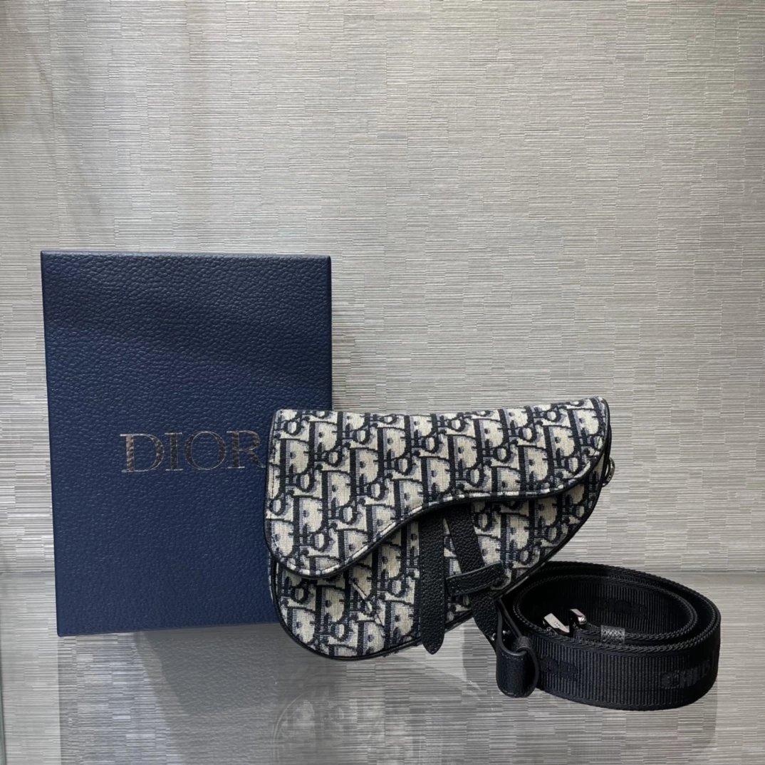 Dior Saddle Bag Oblique Print Multicolor Crossbody Bag - 8