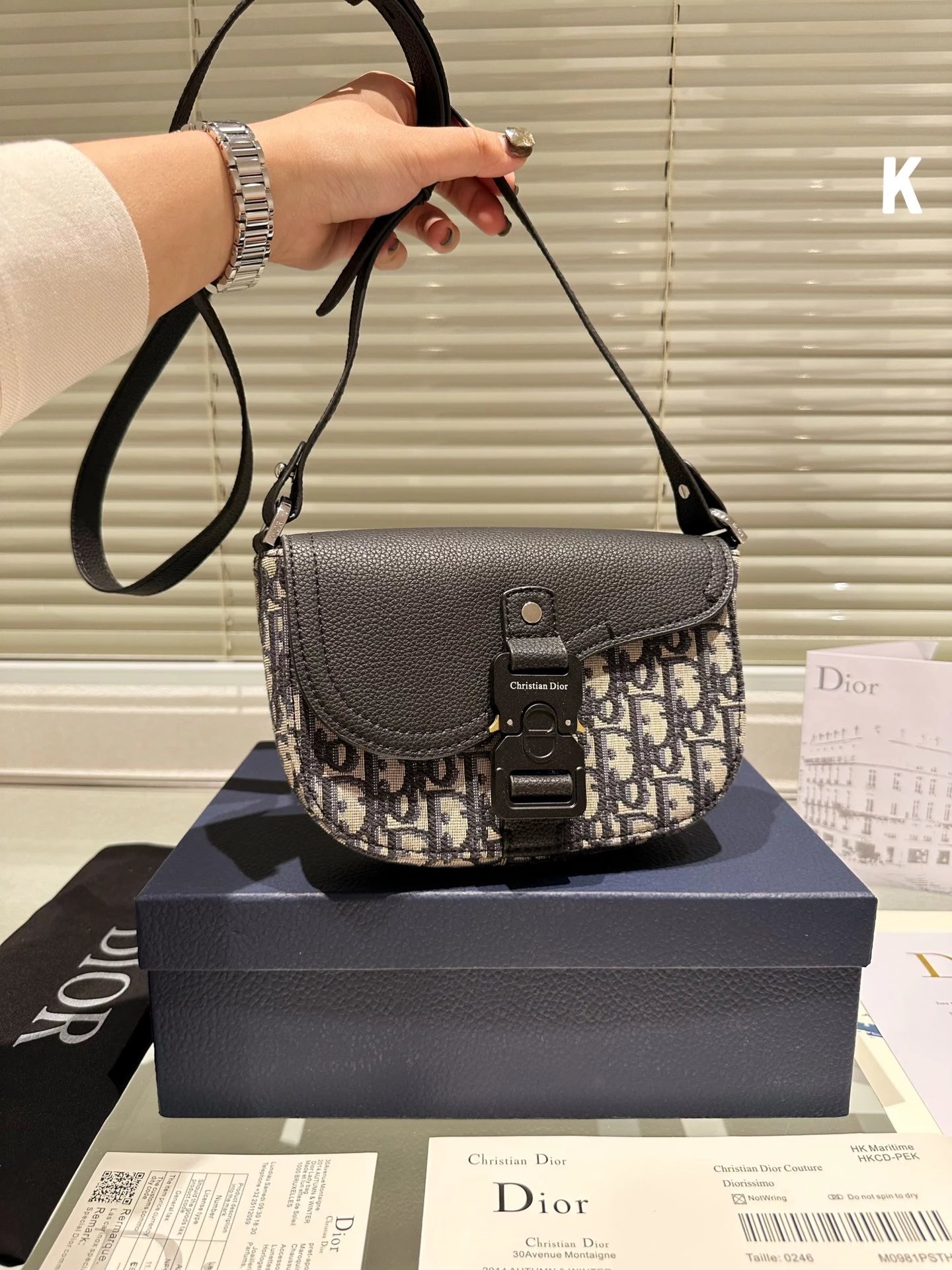 Dior Saddle Bag Oblique Print Multicolor Crossbody Bag - 13