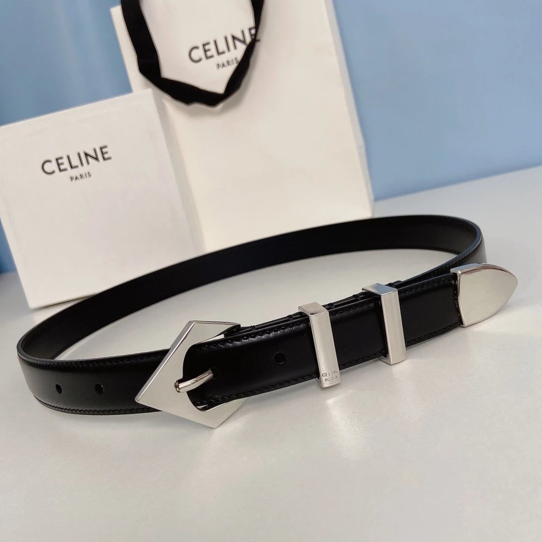 Celine Triomphe Belt Tan Leather Belt - 6