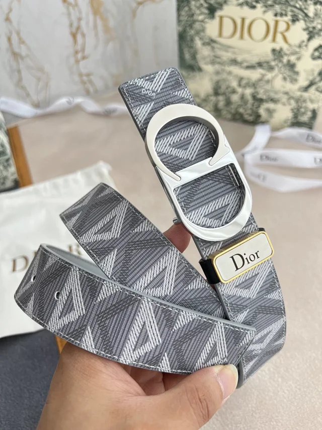 Dior Belts Logo Buckle Belt product detail image 13