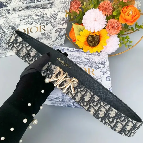 Dior Oblique Canvas Belt Black and Beige - 7