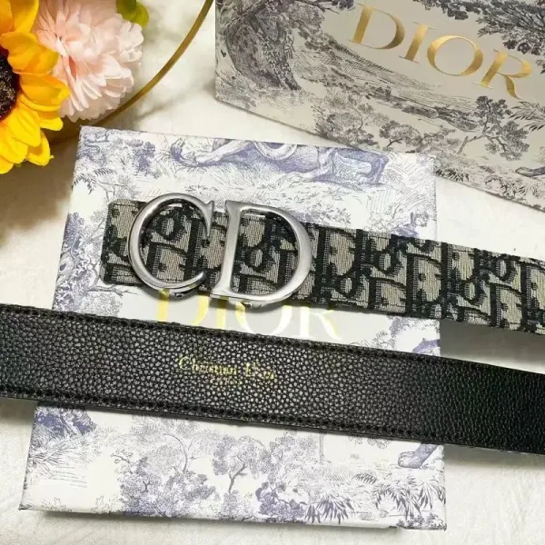 Dior Oblique Canvas Belt Black and Beige - 18