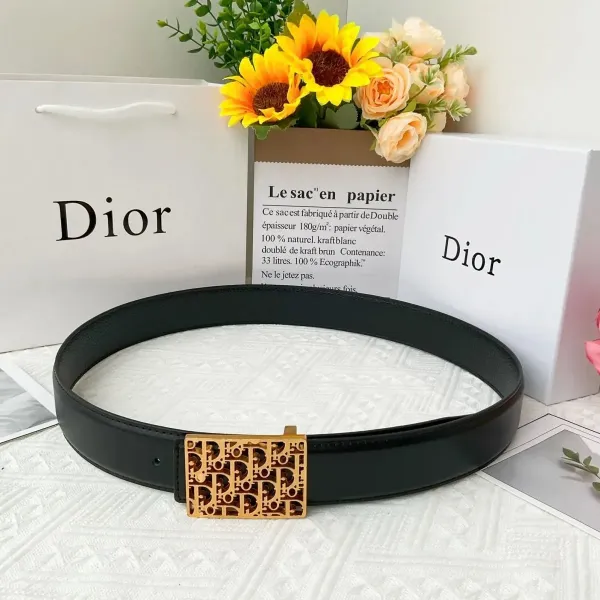 Dior Oblique Canvas Belt Black and Beige - 10