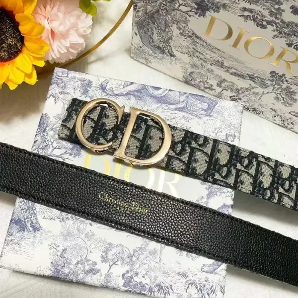 Dior Oblique Canvas Belt Black and Beige - 19