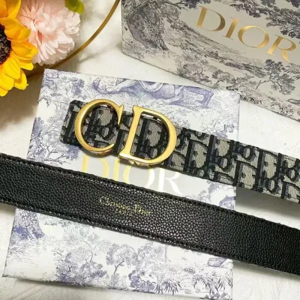 Dior Oblique Canvas Belt Black and Beige - 17