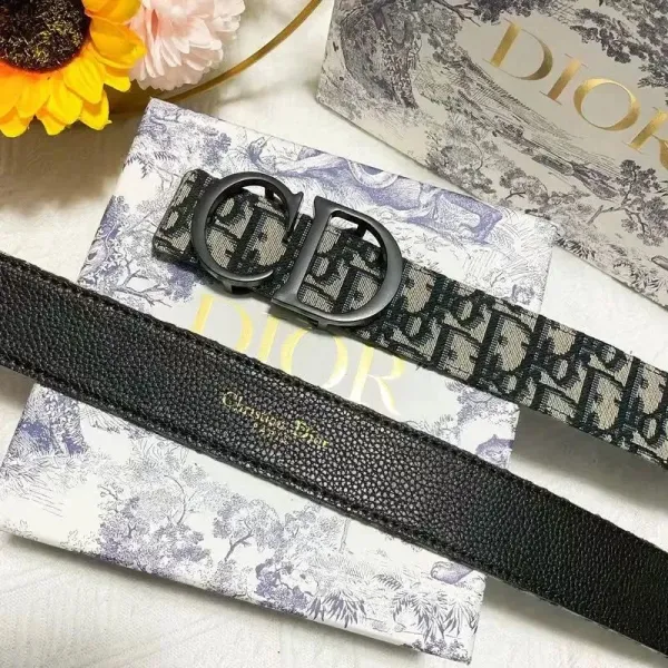 Dior Oblique Canvas Belt Black and Beige - 15
