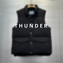 thumbnail for Triangle Down Vest