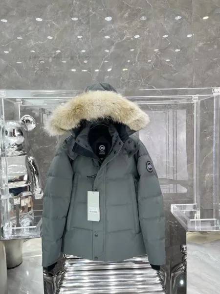 Canada Goose Expedition Parka Gray with Raccoon Fur Trim Down Jacket - 1