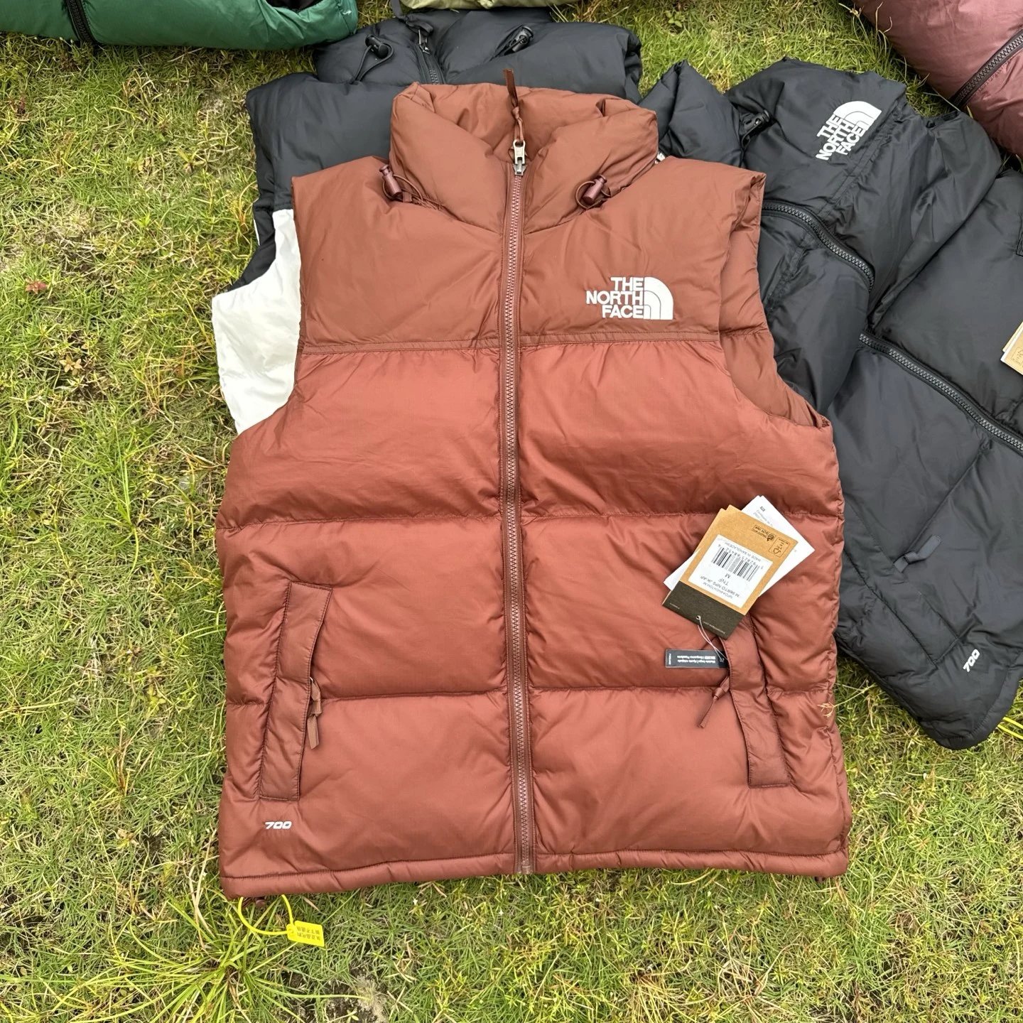 96 Horse Mocha Brown