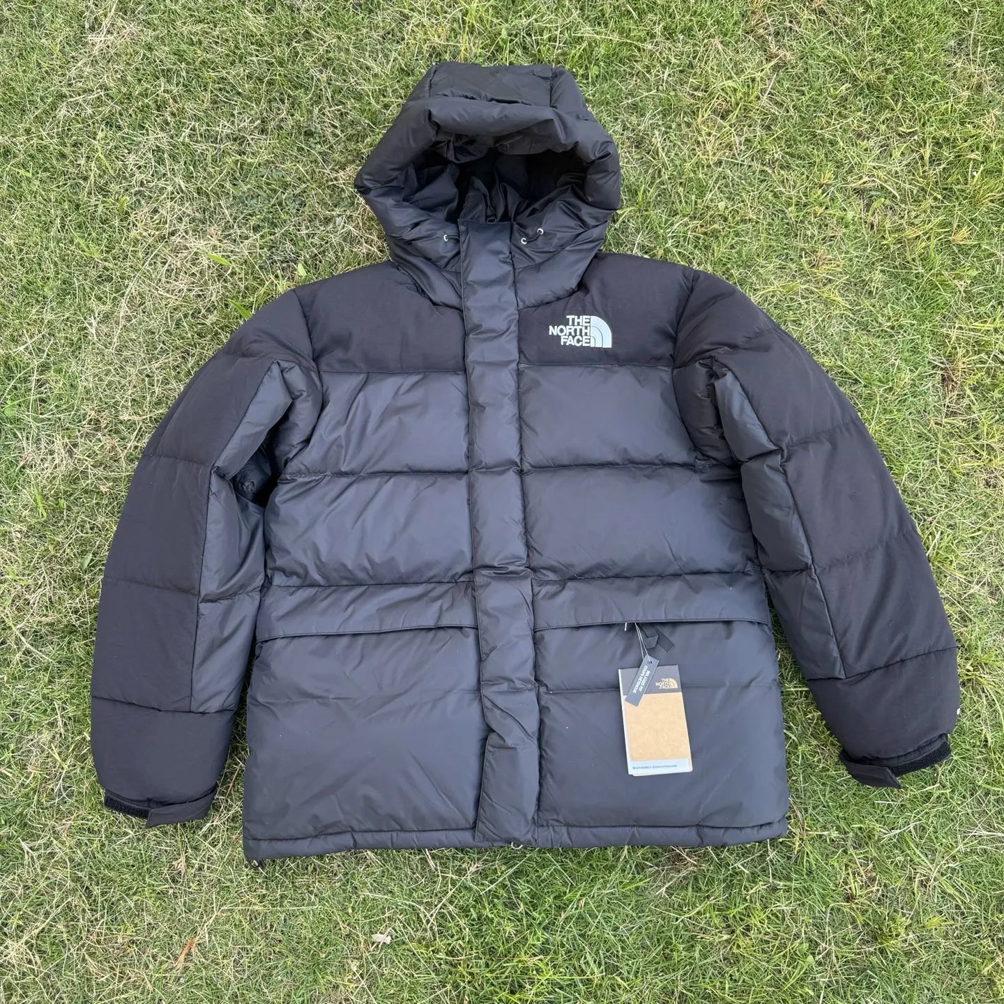 Himalayan Black
