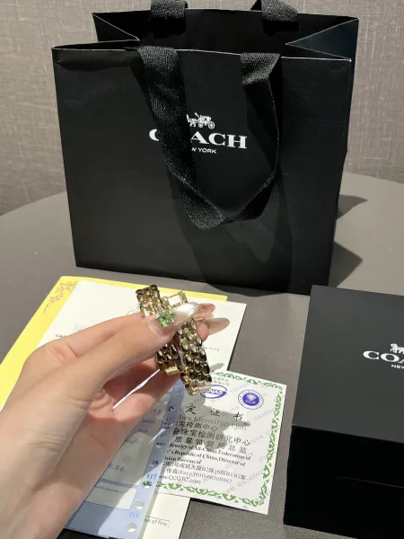 Coach Madison Oval Rose Gold-Tone Watch with Black Dial and Chain Bracelet Watches - 28