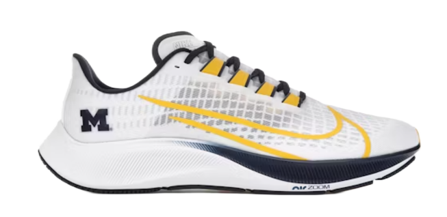 Nike Air Zoom Pegasus 37