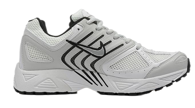 Nike Air Pegasus 2005