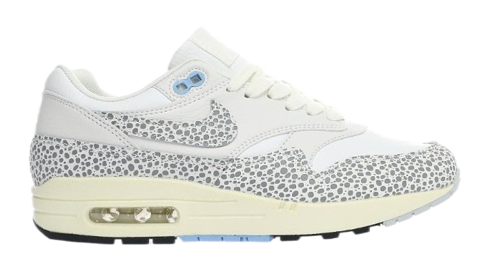 Nike Air Max 1