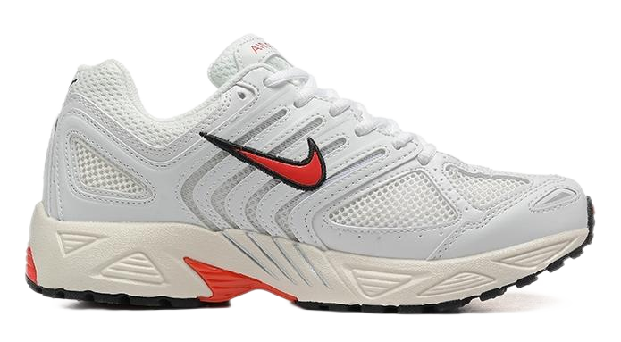 Nike Air Pegasus 2005