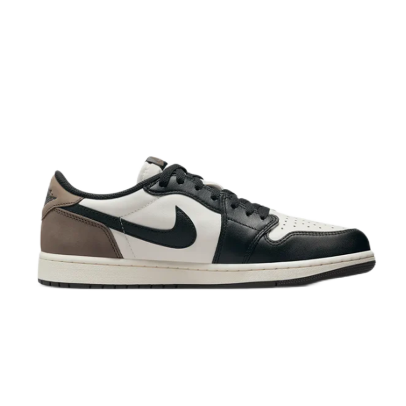 Jordan 1 Retro Low