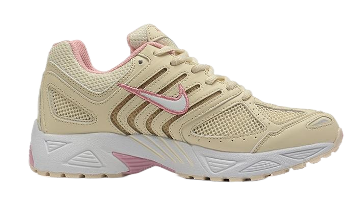 Nike Air Pegasus 2005