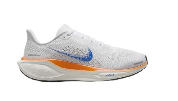 Nike Pegasus 41