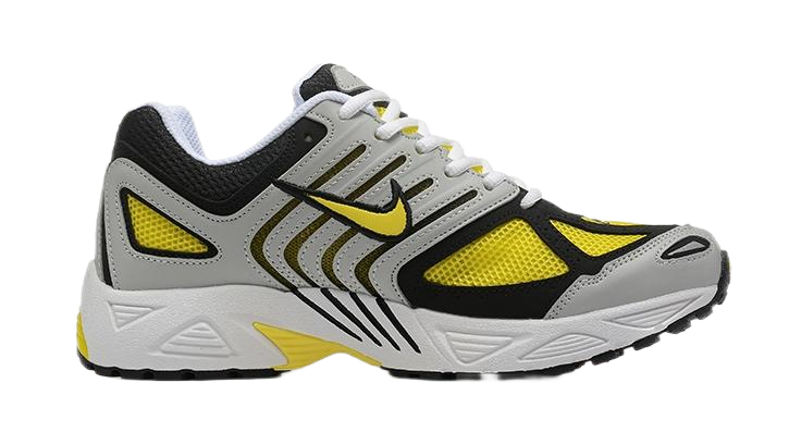 Nike Air Pegasus 2005