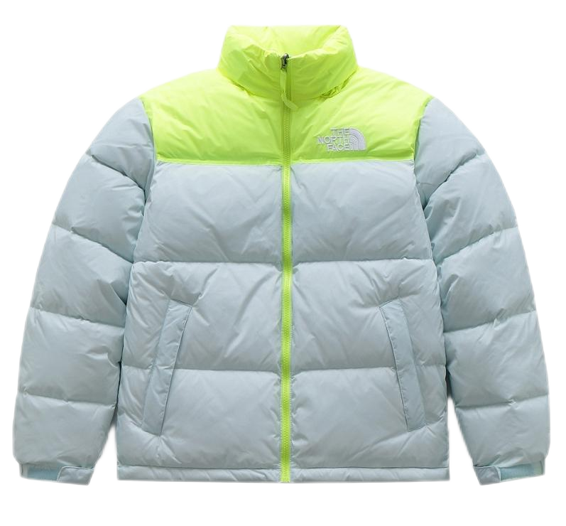 THE North Face down-filled garment