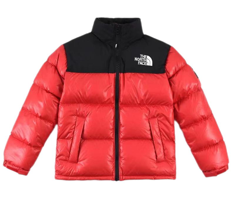 THE North Face down-filled garment