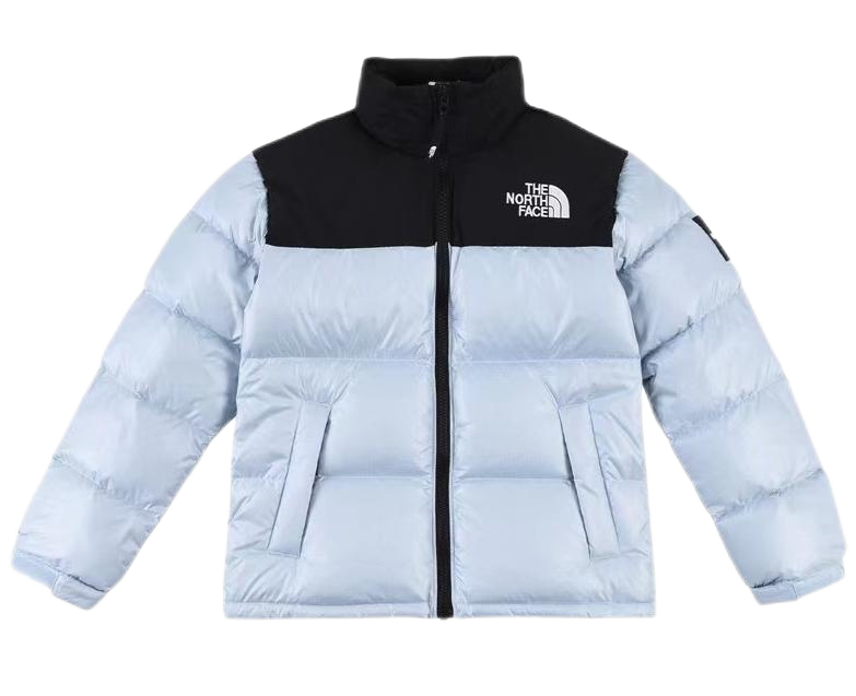 THE North Face down-filled garment