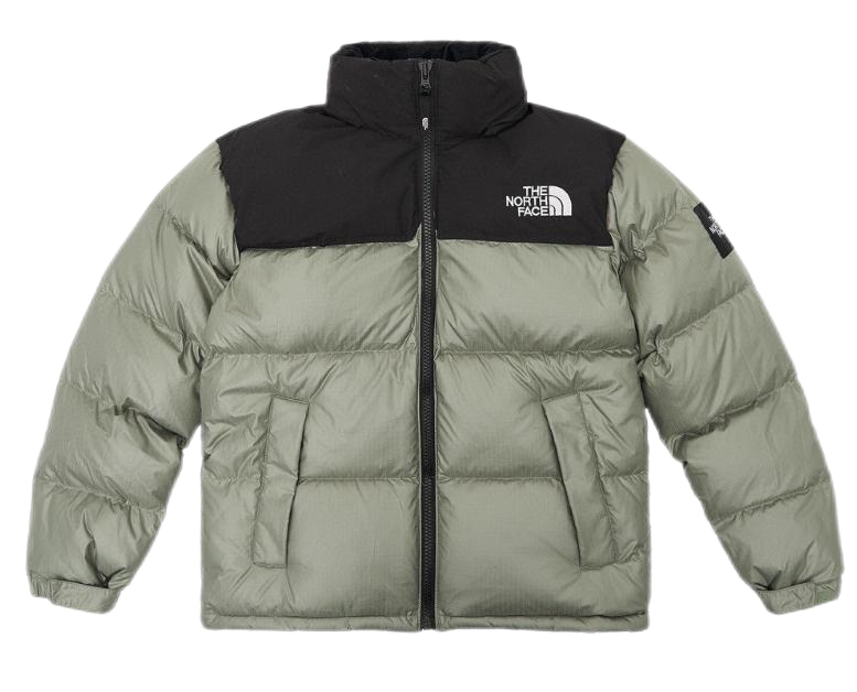 THE North Face down-filled garment