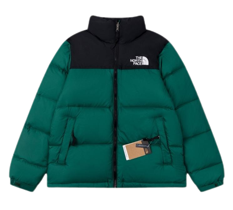 THE North Face down-filled garment