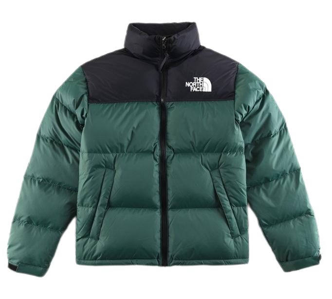 THE North Face down-filled garment