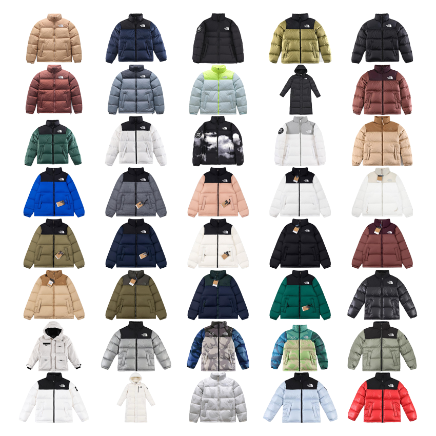 THE North Face down-filled garment