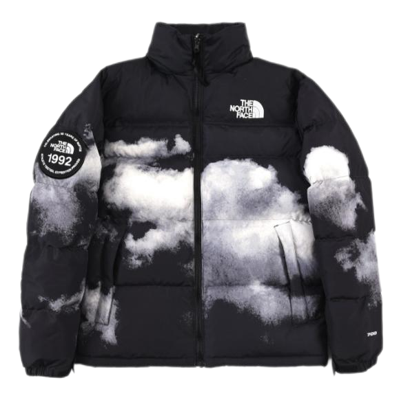 THE North Face down-filled garment