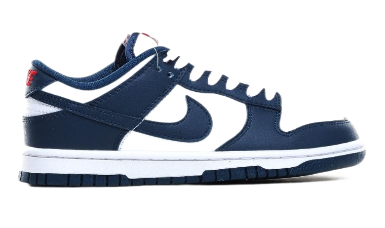 Nike Dunk SB