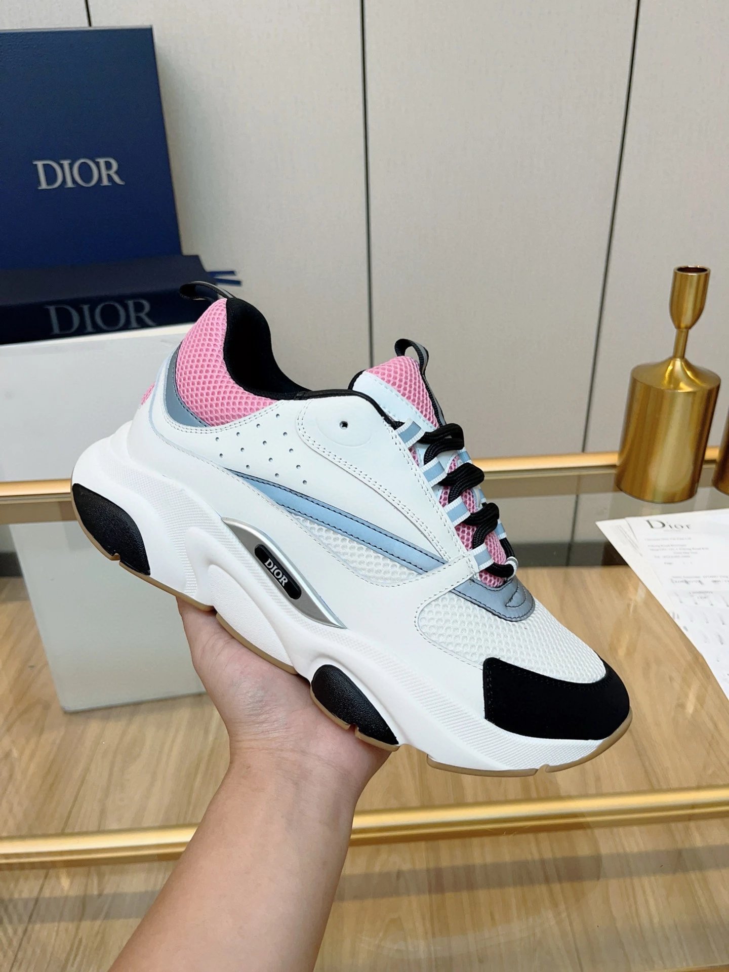 Dior B22 Sneakers 6