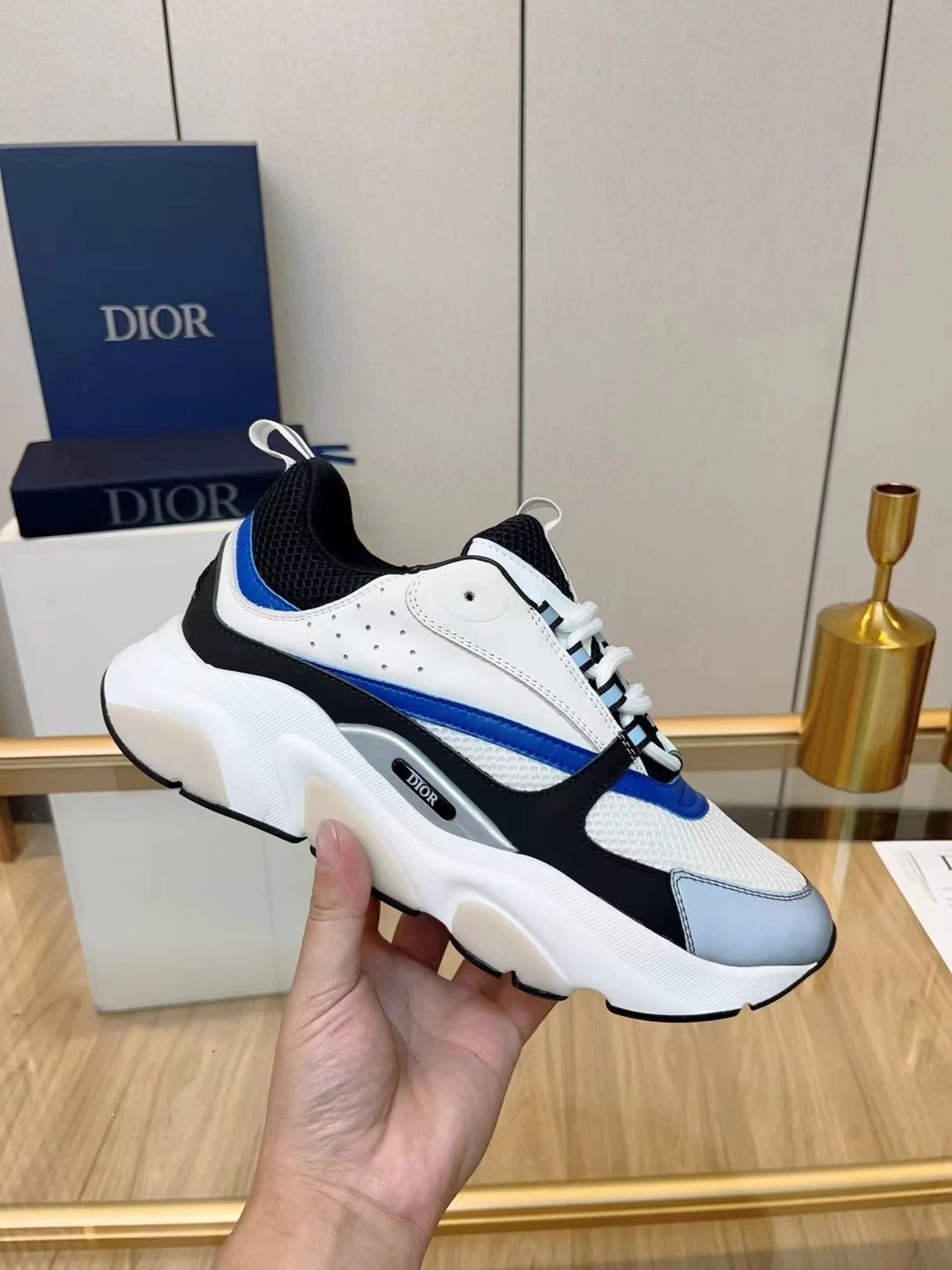Dior B22 Sneakers 10