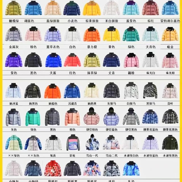 The North Face Down Coat: seller detail photo 13