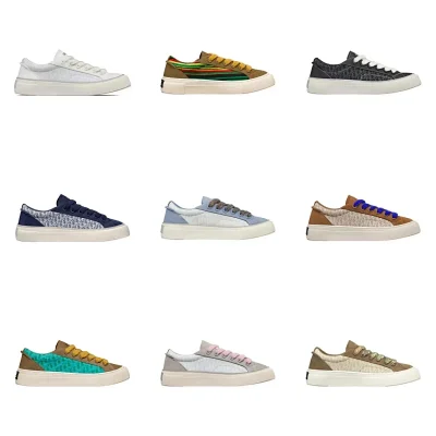 Dior B33