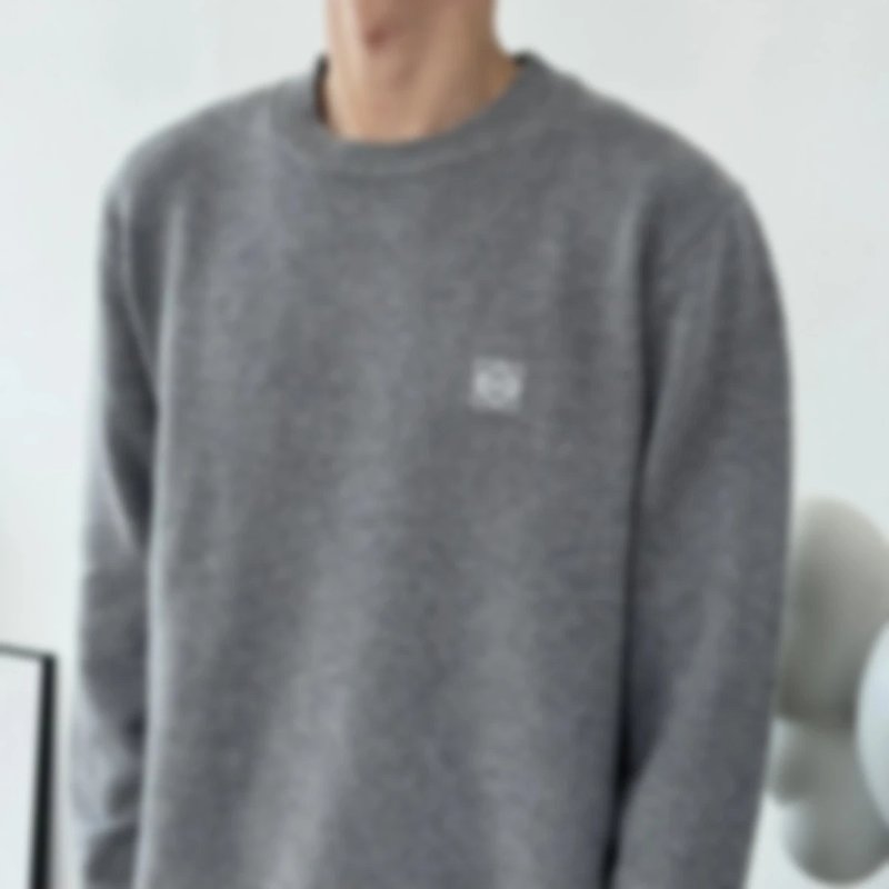 P479 Item ID 8260 L0EWE“100% Combed sheep wool ”Logo round neck pullover long sleeve swe