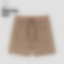 thumbnail for B小格纹泳裤