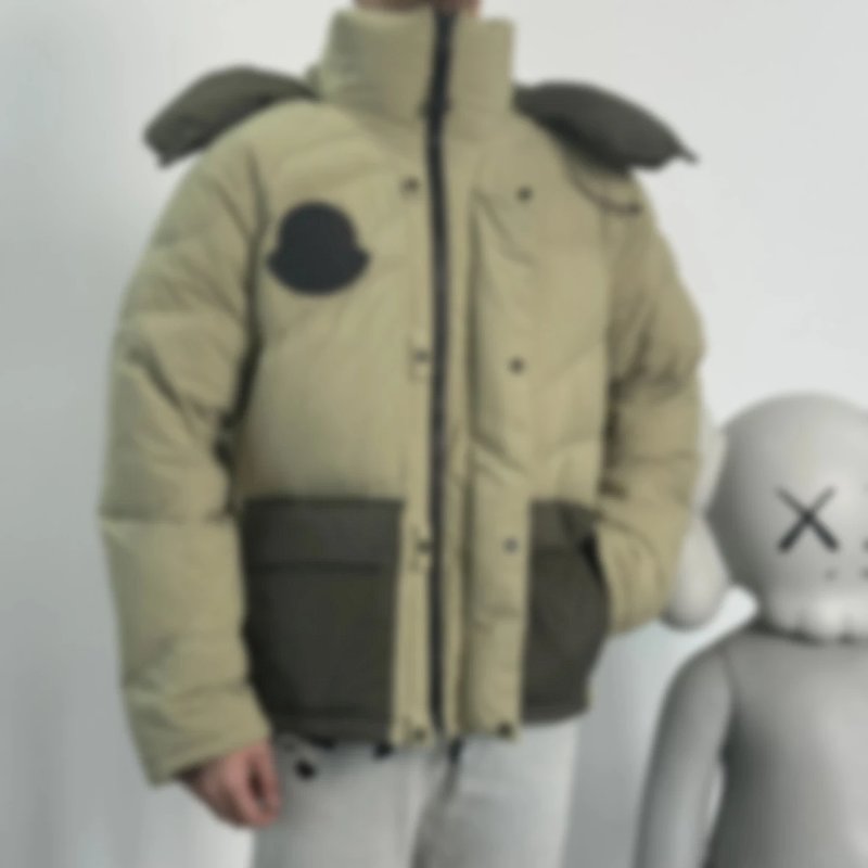 P1119 Item ID 8113 GENIUS-x- Fei Dong - Joint model -“ All excipients customized ” Hooded