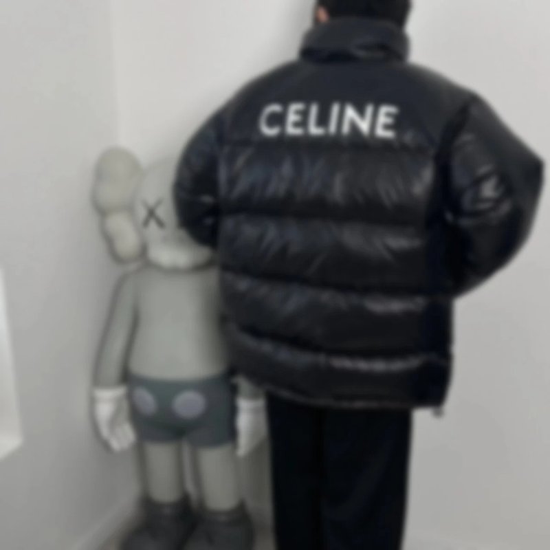 P1009 Item ID 8108 Ce1ine-2021ss-Classic - Breadcoat - Bright Down Jacket -90 Velvet - Sh