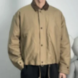 thumbnail for Item ID 8008