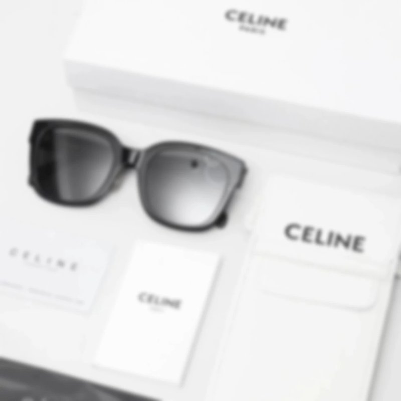 P309 Item ID 8406 classic sunglasses -Celin- Celine Letters Arc de Triomphe Sunglasses