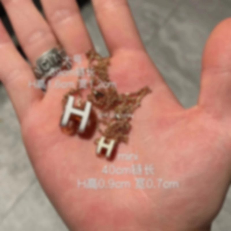 P329 Item ID 8380 H letter necklace -mini letter pendant - rose gold necklace - clavicle