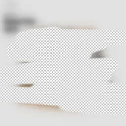 thumbnail for Checked swim trunks