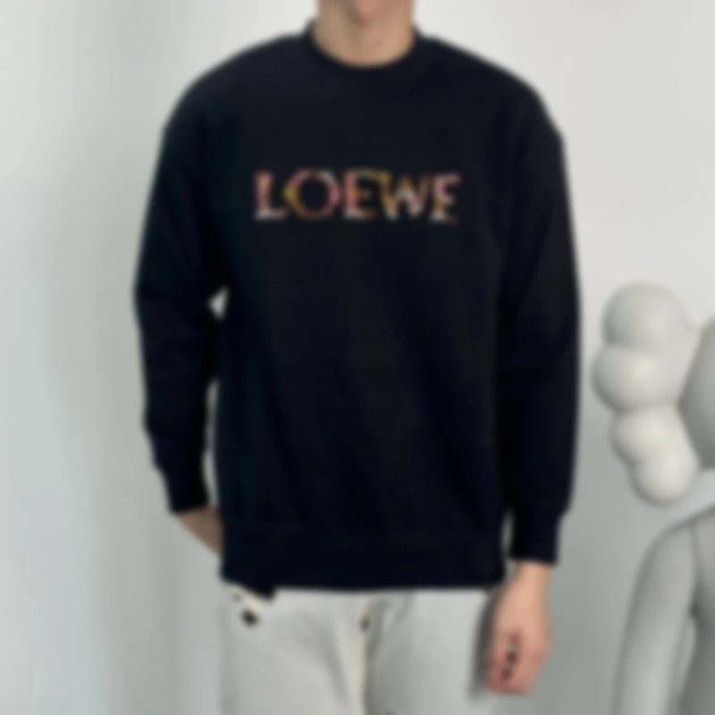 P259 Item ID 8084 L0EWE- Colorful logo Hoodie “ Exclusive embroidery data ”SS25 Regular