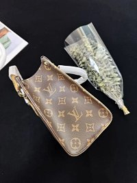 Louis Vuitton Bag — seller photo 9
