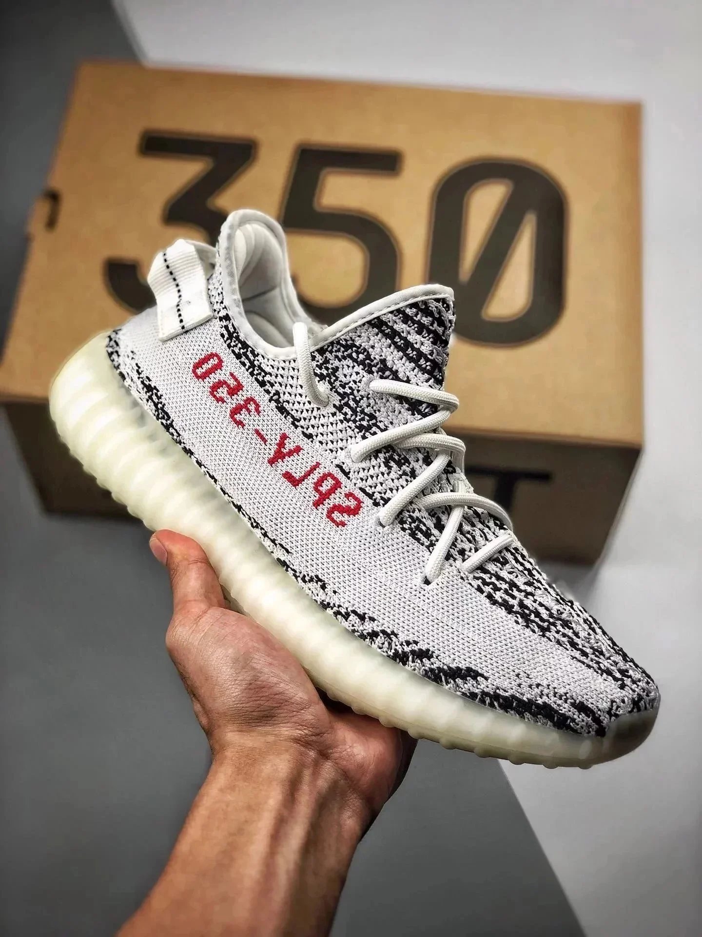 white zebra